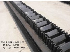 裙邊隔板帶-擋邊輸送帶-大傾角擋邊輸送帶-- 青島宏基橡膠有限公司