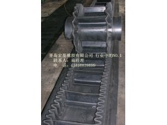 大傾角擋邊帶-擋邊皮帶-擋邊帶生產(chǎn)廠家2-- 青島宏基橡膠有限公司