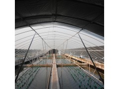 水產養殖大棚膜、水產養殖膜、水產膜-- 鹽城市信諾農資有限公司