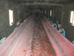 鋼絲繩皮帶哪里好，鋼絲繩膠帶首選青島宏基橡膠-- 青島宏基橡膠有限公司