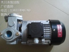 木川TS-71熱油泵 模溫機專用泵 耐高溫200度泵-- 惠州市沃德五金機電有限公司商務部