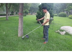 電動割灌機廠家石家莊綠華機械科技最專業-- 石家莊綠華機械科技有限公司