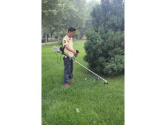 果園割草割灌機／便攜式割灌機價格實惠-- 石家莊綠華機械科技有限公司