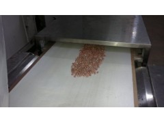 南乳帶殼花生微波烘干設備-- 廣州科威微波能有限公司