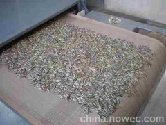 微波白瓜子烘干殺菌機-- 廣州科威微波能有限公司