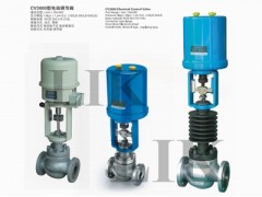 進(jìn)口高溫高壓調(diào)節(jié)閥 德國(guó)萊克品牌『才是你真正的選擇』-- 廣州阿泰克閥門(mén)有限公司