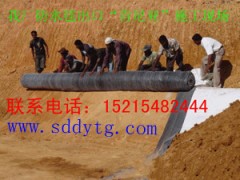 酒泉/慶陽膨潤土防水毯價格-- 泰安東岳工程材料有限公司