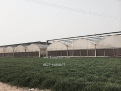 康必硒招商有機硒食用菌粉供應-- 宿遷中農科生物科技有限公司