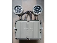 防爆應急照明雙頭燈BAJ52-- 樂清市二工電氣有限公司