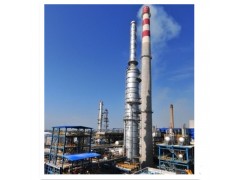 脫硫脫硝 工業(yè)火炬 燃燒器 濟(jì)南同智科技國(guó)內(nèi)節(jié)能環(huán)保工業(yè)燃燒技術(shù)專家 廠家直供-- 濟(jì)南同智創(chuàng)新能源科技股份有限公司