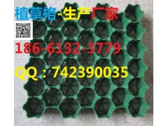 重慶植草格-- 泰安綠標(biāo)建材有限公司