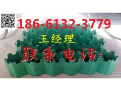 邯鄲植草格-- 泰安綠標建材有限公司