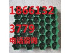 邢臺植草格-- 泰安綠標建材有限公司