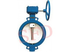 賽福迪單偏心渦輪對夾蝶閥-- 江蘇賽福迪閥業有限公司