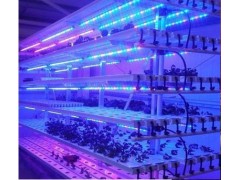 LED植物補光燈-- 北京渠道科學器材有限公司