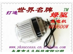 綠驅發電機 永磁發電機 人力發電機 電動車發電機 無刷風力發電機-- 永康市久久科技有限公司