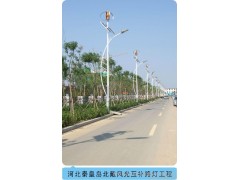 風(fēng)光互補(bǔ)路燈，風(fēng)光互補(bǔ)系統(tǒng)，垂直軸，磁懸浮，300W小型風(fēng)力發(fā)電機(jī)-- 深圳市泰瑪風(fēng)光能源科技有限公司