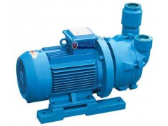 直銷 防腐 小型真空泵 水環式真空泵 SK-1.5水環真空泵-- 河北巨強泵業有限公司