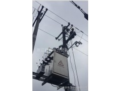 10KV電壓無功補(bǔ)償 10KV有級調(diào)壓補(bǔ)償成套-- 浙江能容電力設(shè)備有限公司