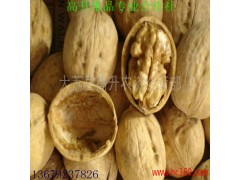 供應清香核桃  那里批發蘋果  求購軍威植物核能爆發酶  求購奔騰能量爆發劑-- 大荔縣高升農資經營部