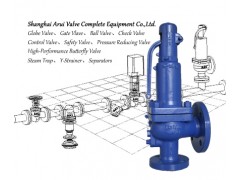 FIG.SV901彈簧式安全閥-- 上海阿瑞閥門成套設備有限公司