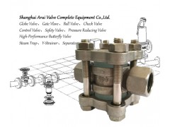 FIG.SG1螺紋視鏡，不銹鋼視鏡-- 上海阿瑞閥門成套設備有限公司