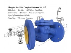 FIG.DC3 DIN升降式止回閥-- 上海阿瑞閥門成套設備有限公司