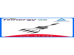 清能光伏組件 ROHS認證 4母轉一公匯流線束 匯流線 熔斷器連接器 連接-- 東莞市清能光伏科技有限公司