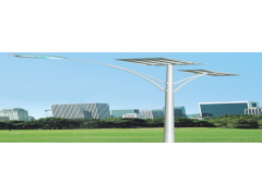 個性定制LED太陽能路燈-- 河北赤尚建筑工程有限公司