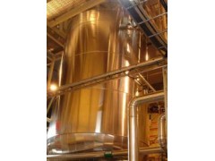 清潔供暖電極蒸汽鍋爐-- 瑞特愛(北京)能源科技有限公司