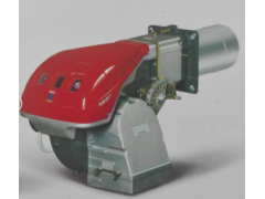 利雅路燃燒器-- 河南斯大鍋爐設(shè)備有限公司