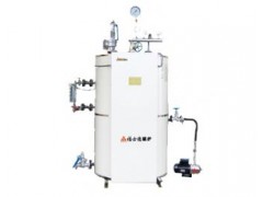 LDR電熱蒸汽鍋爐-- 安陽市福士德鍋爐有限責任公司