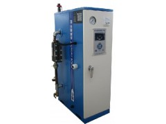 電蒸汽發生器-- 揚州中瑞鍋爐有限公司