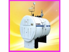 WDR系列電熱蒸汽鍋爐-- 安陽市福士德鍋爐有限責任公司