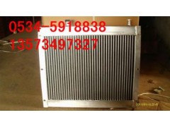 教你如何使用養(yǎng)殖鍋爐-- 寧津縣凱龍溫控設(shè)備廠