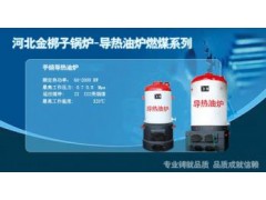 導熱油鍋爐-- 河北金梆子鍋爐有限公司