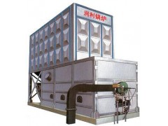 YSW系列水煤漿有機熱載體鍋爐-- 江蘇潤利鍋爐有限公司