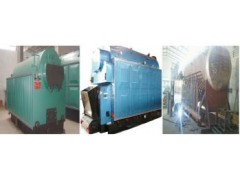 DZL燃煤蒸汽鍋爐-- 山東四方鍋爐設(shè)備有限公司