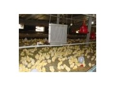 供應(yīng)新型養(yǎng)殖加溫鍋爐養(yǎng)殖加溫設(shè)備-- 寧津恒豐養(yǎng)殖溫控設(shè)備廠