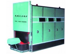 CWSH-X型煤環保鍋爐-- 鳳城市天正鍋爐制造廠