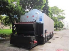 DZL系列鏈條爐排鍋爐-- 廣西柳鍋鍋爐制造有限公司