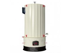 手燒爐排立式燃煤有機熱載體爐-- 河北藝能鍋爐有限責任公司