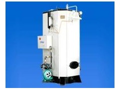 富力牌燃煤鍋爐-- 始興縣富溢鍋爐制造有限公司