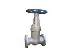 Z43F  帶導流孔平板閘閥-- 上海工良閥門廠