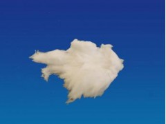 硅酸鋁陶瓷纖維散棉-- 淄博云泰爐業科技有限公司