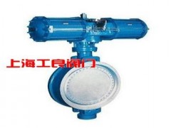D341X  蝸輪法蘭式中線蝶閥-- 上海工良閥門廠