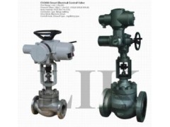 進(jìn)口電動(dòng)單座調(diào)節(jié)閥-- 廣州威克閥門有限公司