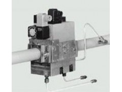 DUNGS冬斯閥組MB-- 上海秦旗機電設備有限公司