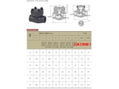鍛鋼止回閥-- 上海工良閥門廠