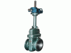 Z9B43防爆電動平板閘閥-- 上海工良閥門廠